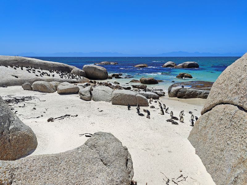 Foto zur Tour Rifflkarspitze & Glockturm
